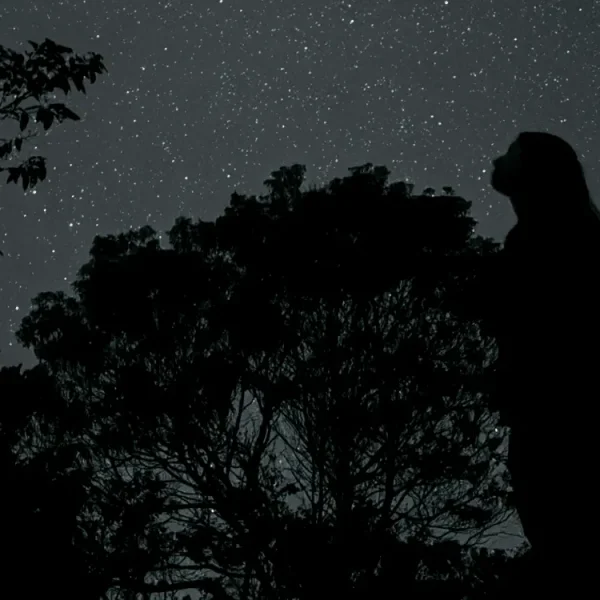 Céu Estrelado no Vale do Pati